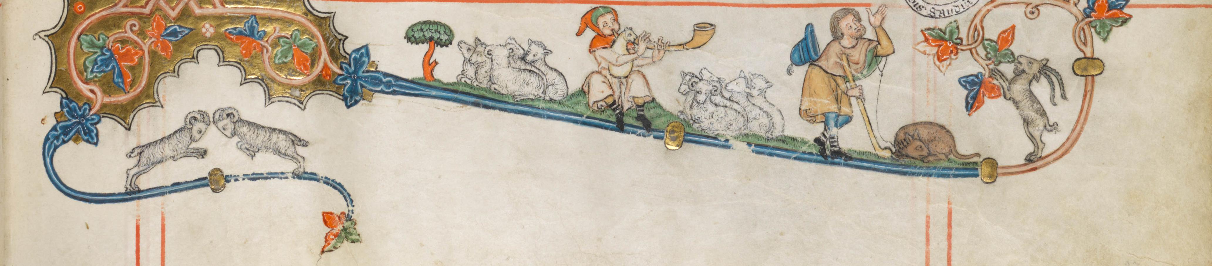 This is a placeholder image